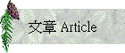 �峹 Article