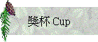 ���M Cup