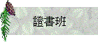 �ҮѯZ