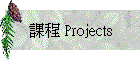 �ҵ{ Projects